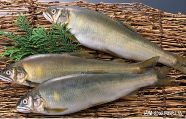 正月初八穀日節，關於稻穀的生長講給孩子們聽，尊重農業愛惜糧食