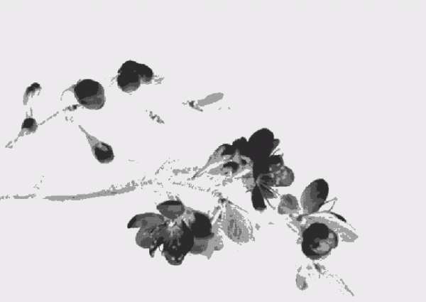 《太平廣記》志怪故事：尋仙記