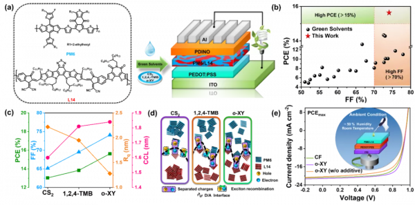 南科大在雙噻吩醯亞胺基n-型高分子半導體材料研究獲系列成果