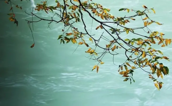 賞花,賞月,賞秋天,必看 賞花,賞月,賞秋天,必看