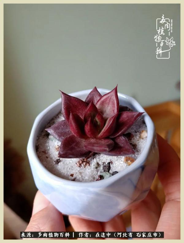 落葉知秋,願你安好 落葉知秋,願你安好