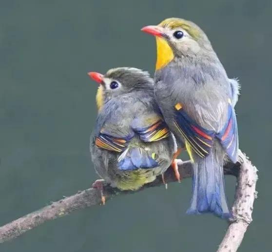點亮愛的翅膀，帶著你一路飛翔，旅途有你，便是天堂