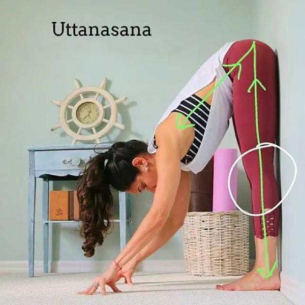 你要的瑜伽乾貨又來了：前屈中下背部拱起怎麼辦？