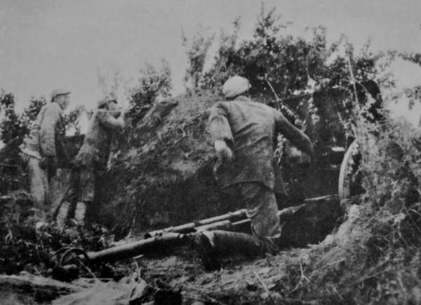 挺進大別山的過程中，劉鄧大軍為何會損失過半？