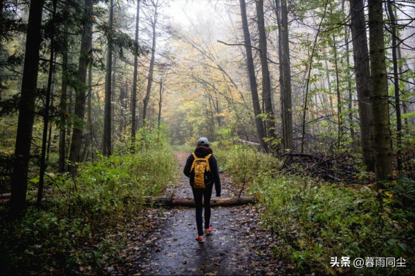 野外遭遇下雨怎麼辦？雨中徒步與露營的21條要點與提示要牢記