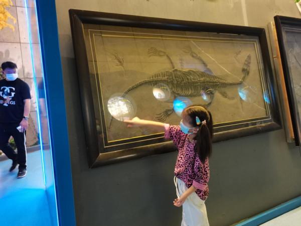諸城恐龍博物館之旅