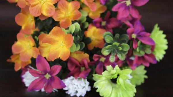 夏花絢爛的刺梅花綻放了