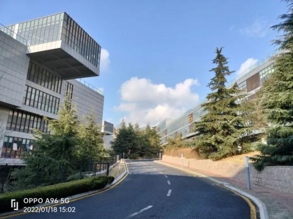 千元機推薦 OPPO A96 顏值就是擔當