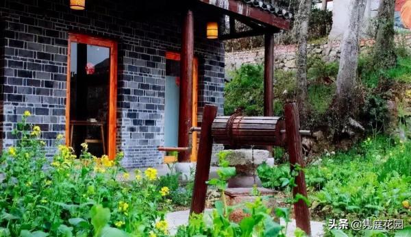 一個優雅的院子,都是養出來的 一個優雅的院子,都是養出來的