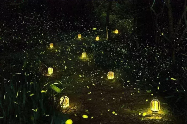 美！外國人眼裡最羨慕的中國美景，你都去過嗎？