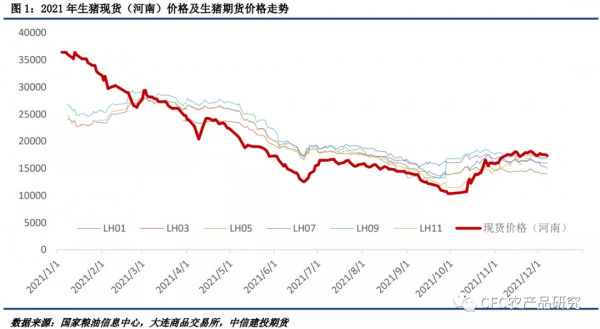 「2022生豬年報」告別非瘟時代，紅海逐浪而行