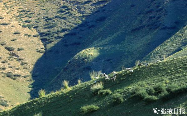 祁連山下的這個小村莊,隱藏了最美的秋色 祁連山下的這個小村莊,隱藏了最美的秋色