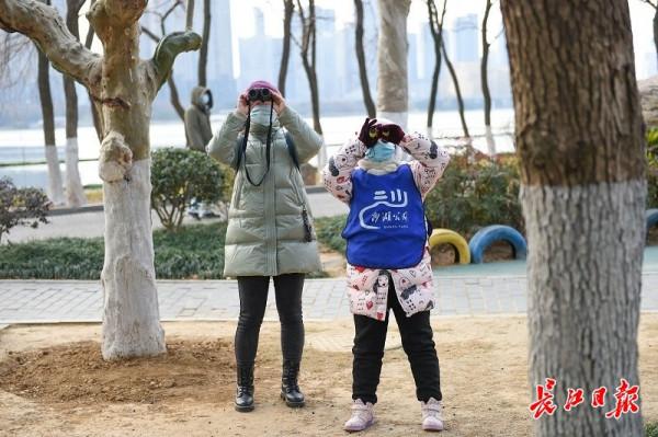 探尋鳥兒飛行的奧秘