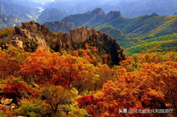 旅遊月曆 | 金秋十月,來河北給你“好看”! 旅遊月曆 | 金秋十月,來河北給你“好看”!