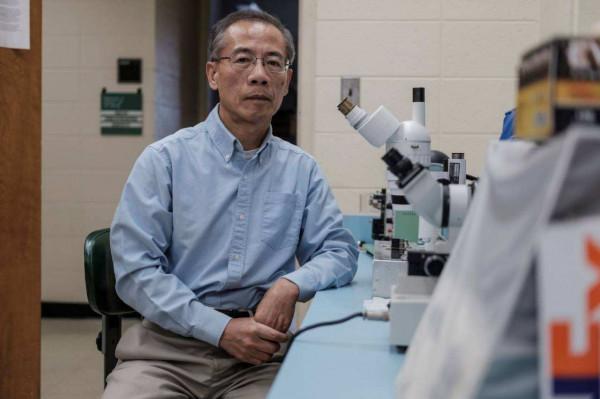 麻省理工研發新材料，硬度是鋼鐵的兩倍，發明者是華裔科學家