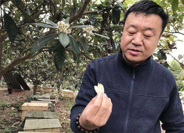 冬蜜有幾種?冬蜜和蜂蜜的區別 冬蜜有幾種?冬蜜和蜂蜜的區別