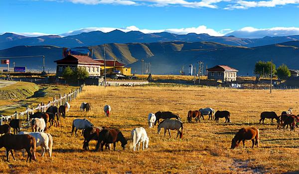 四川一冷門草原，風光如畫絢麗多彩，被稱神仙居住之地，少有人煙