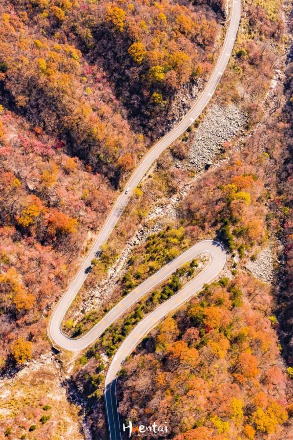 再過半個月,安徽一地將迎來震撼秋色,沿途免費適合自駕 再過半個月,安徽一地將迎來震撼秋色,沿途免費適合自駕