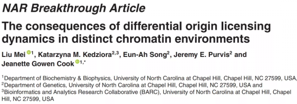 浙大校友揭示DNA損傷又一機制，為抗腫瘤藥物研發提供新思路