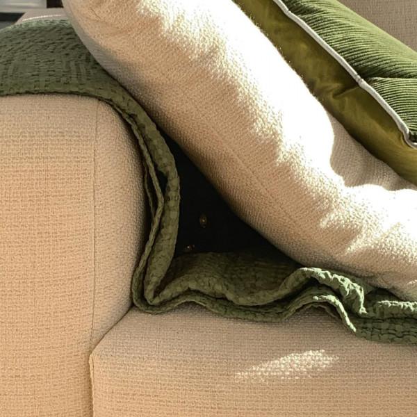 外國妹子養了只猴裡猴氣的緬因喵,這畫風,太大佬了 外國妹子養了只猴裡猴氣的緬因喵,這畫風,太大佬了