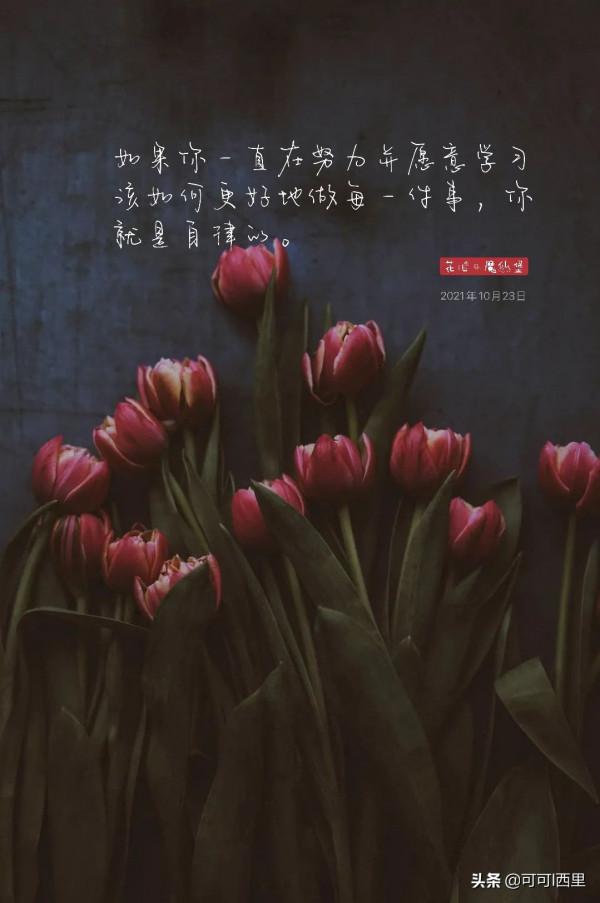 知足不知足 讀《道德經》有感