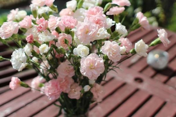 雙子座1.19-23周運勢,開心又自在,做自己喜歡的事,會很有幹勁 雙子座1.19-23周運勢,開心又自在,做自己喜歡的事,會很有幹勁