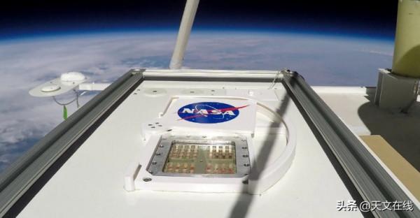 沒有地球生物能暴露在太空中生存？NO，來看看這種耐輻射球菌