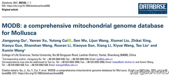 王緒敏教授團隊釋出軟體動物線粒體基因組資料庫MODB 王緒敏教授團隊釋出軟體動物線粒體基因組資料庫MODB