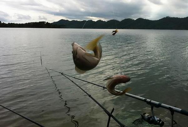 冬季釣魚，兩個方法教你找到魚窩，連桿釣斤鯽