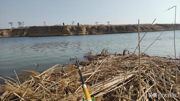 購買魚竿的三大誤區，你知道嗎？新手又該如何選擇魚竿呢？