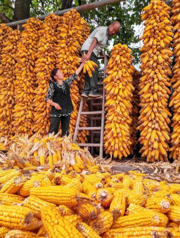 成年人玩得這麼野，小心把命都玩丟了
