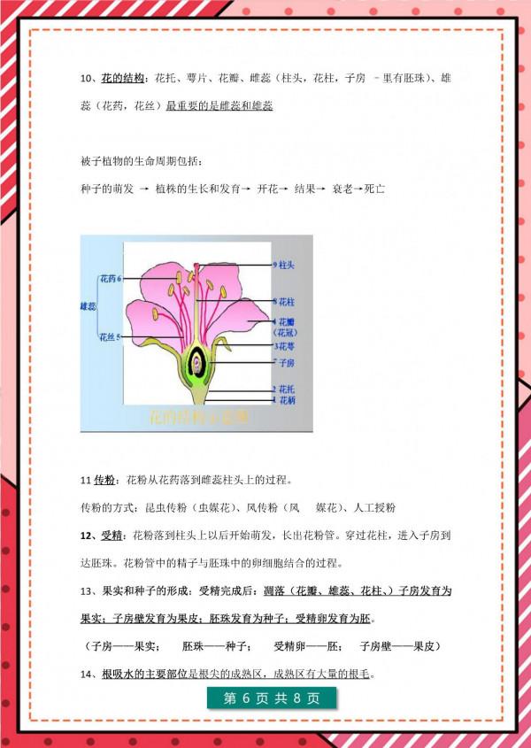 請家長列印：七年級上冊生物 期末考點+思維導圖+ 答案模板