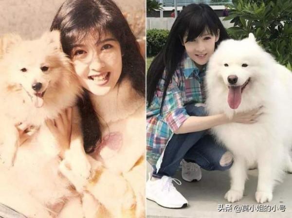 選擇丁克的12對明星夫妻:有人要捐出56億身家,譚詠麟卻偷偷生子 選擇丁克的12對明星夫妻:有人要捐出56億身家,譚詠麟卻偷偷生子