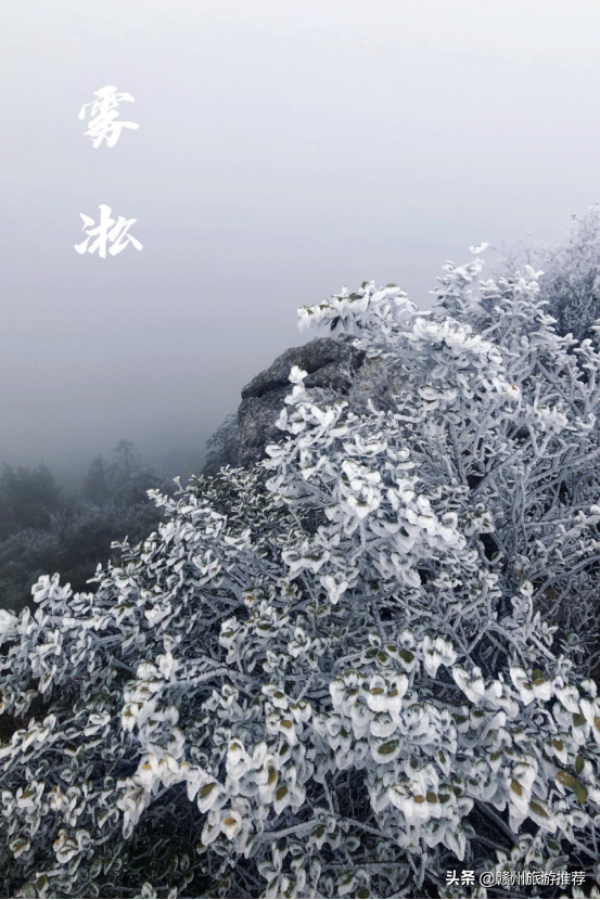 絕美！從晉朝走來的青蓮古寺，霧凇美景出現，又再次驚豔了世人