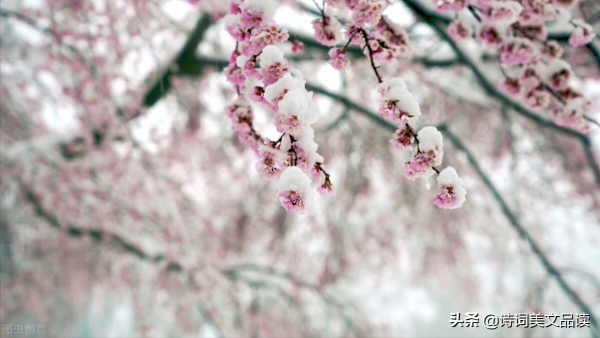 十二個月，十二首詩，十二種美