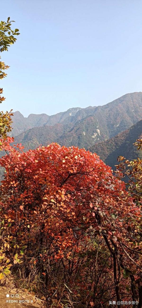 題陝西省西安市鄠邑區風景名勝圭峰山楹聯 文圖/李景寧 寒陽子