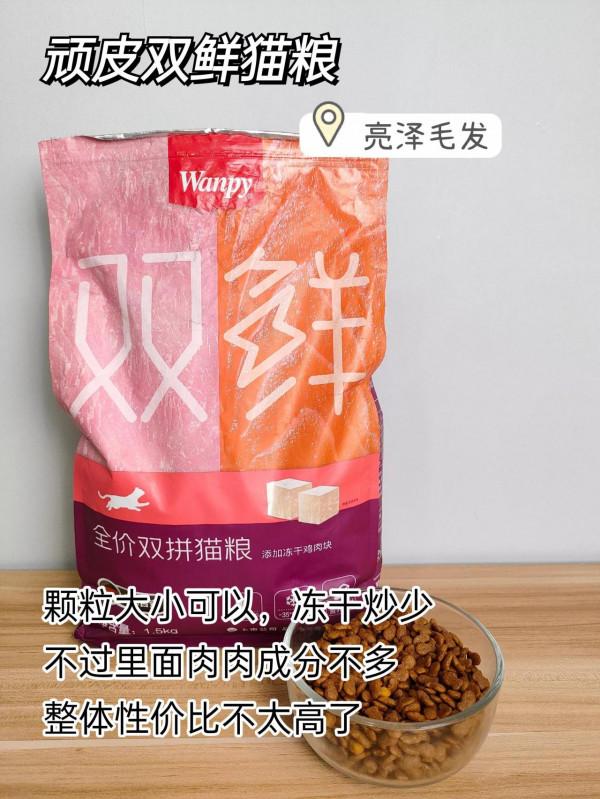 貓糧還能選錯！看這篇就懂了