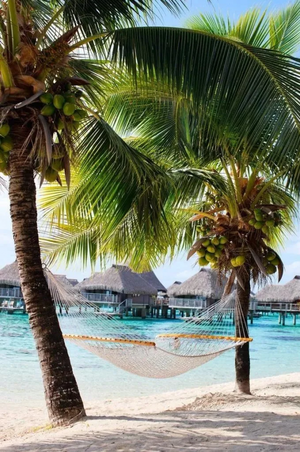 2022我要一個人去旅行