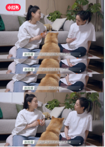 生活解碼 張鈞甯說喜歡運動的人生命會比較開心 生活解碼 張鈞甯說喜歡運動的人生命會比較開心