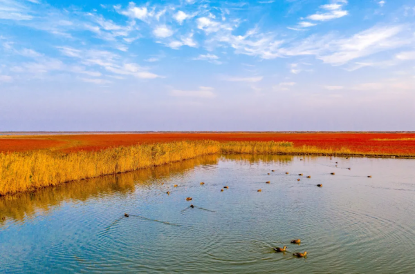 深秋，這裡是條子泥