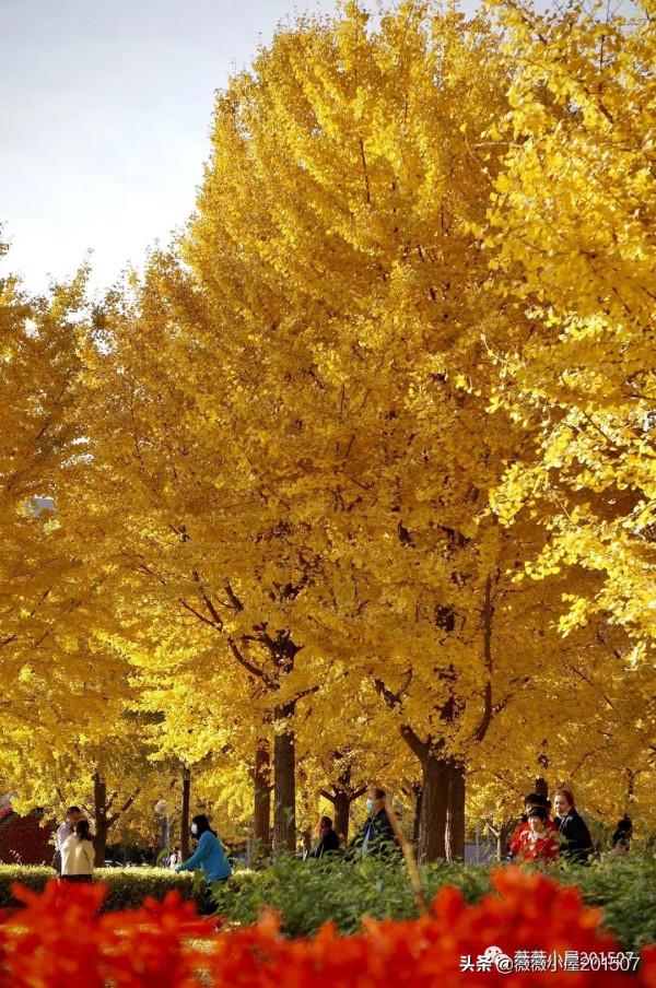 城市漫步——奧森公園 城市漫步——奧森公園