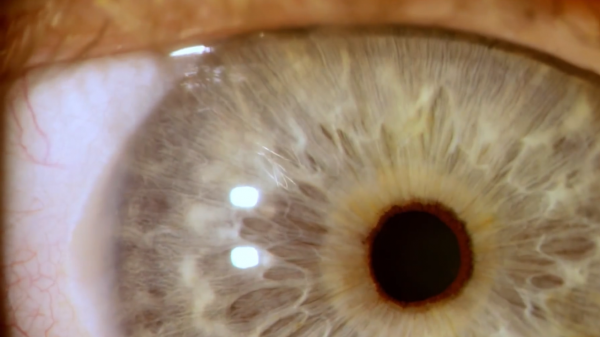 人類的眼睛，究竟如何進化而來的？為何達爾文感到困惑不解？