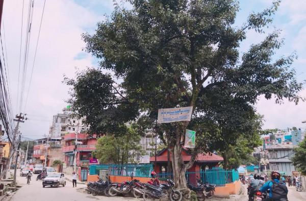 東南亞貧窮小國,把中國遊客當提款機,當地小孩見到就伸手要錢 東南亞貧窮小國,把中國遊客當提款機,當地小孩見到就伸手要錢