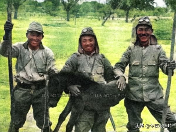 罕見的照片：日軍勒死黃鼠狼，德軍扒老鼠皮，美軍絞死日本前首相