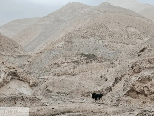 美玉新疆-塔莎古道，驚魂12小時