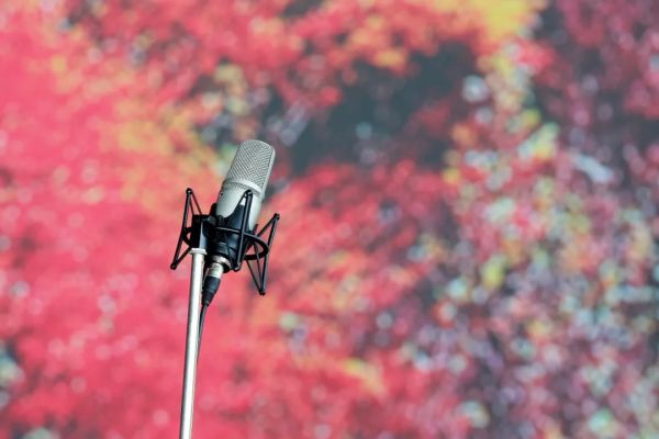 百年風華 山河永定 百年風華 山河永定