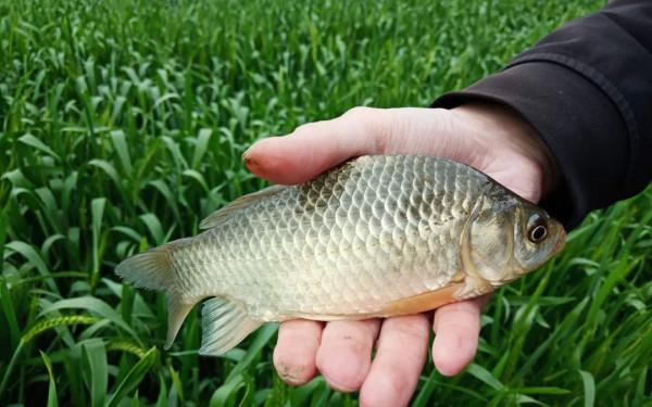 秋季養生,老中醫告訴你,秋季可以多吃這4類東西,大補且養生 秋季養生,老中醫告訴你,秋季可以多吃這4類東西,大補且養生