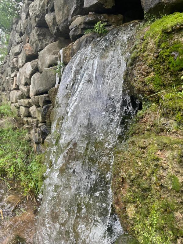 南山區的小景色