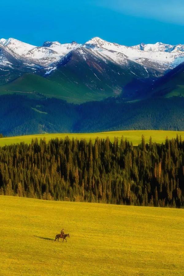 國內最值得去的40個地方，個個美如畫，少去一個都可惜