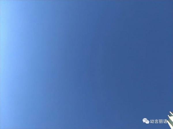 小狗歡歡生病記 小狗歡歡生病記